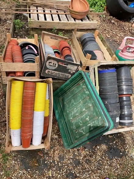 Photo of free Potting on pots & trays (Northchurch HP4) #1