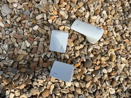 Photo of free Not sure what they are (Warminster BA12) #1