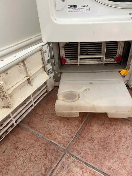Photo of free Tumble dryer (Torquay TQ2) #2