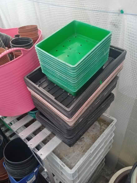 Photo of free Greenhouse clearance (Ruislip HA4) #4