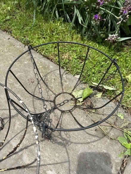 Photo of free Six hanging plant baskets (Rock Tavern) #3