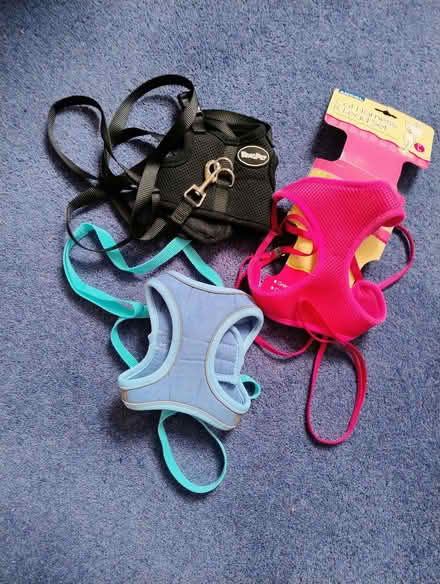 Photo of free Cat Harnesses (Cheadle Hulme SK8) #1