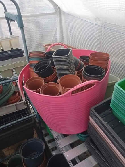 Photo of free Greenhouse clearance (Ruislip HA4) #4