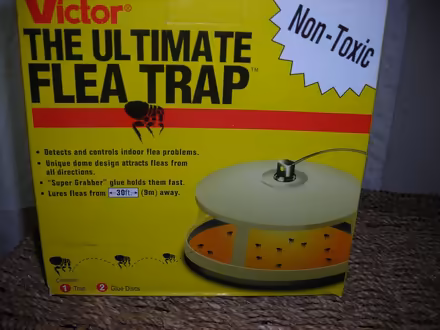 Photo of free Flea traps (Swarthmore area) #1