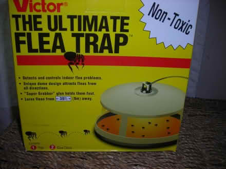 Photo of free Flea traps (Swarthmore area) #1
