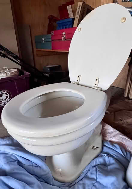 Photo of free 1930 vintage Crane toilet (Chevy Chase DC) #1