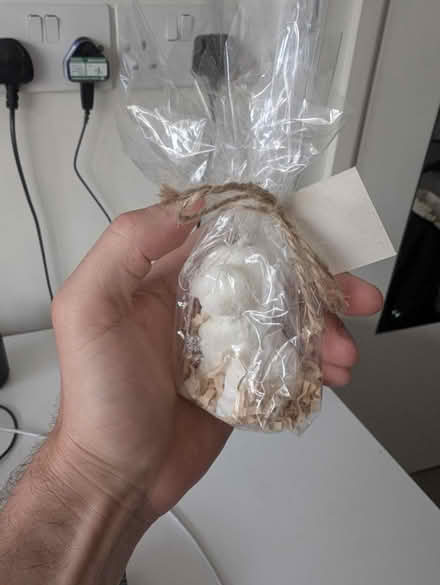 Photo of free Candle - dog shape (CB2) #1