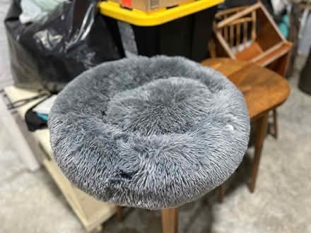 Photo of free Brand new dog or cat bed (East Amissville) #1