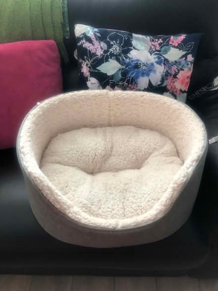 Photo of free Dog bed (Chadderton south OL98LU) #1