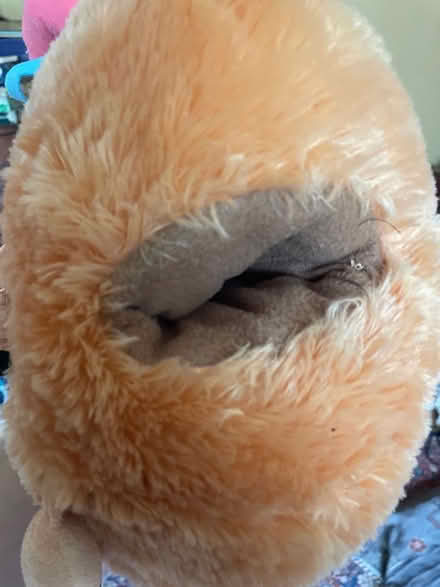 Photo of free Hand warmer cuddly toy (Leicester LE2) #2