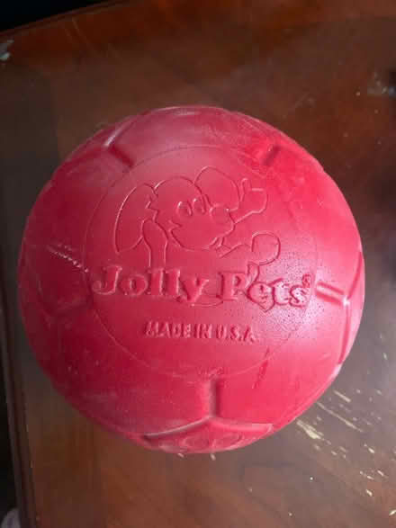 Photo of free Ball for dogs (West Acton) #2
