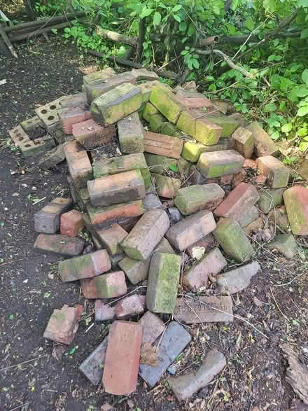Photo of free bricks (West end of Crystal Lake) #1
