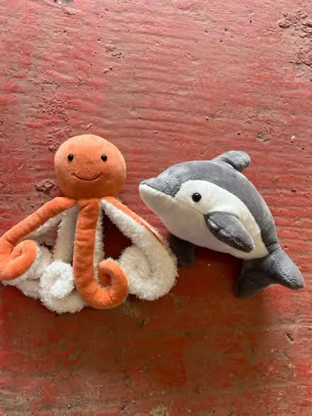 Photo of free Teddies (Tunbridge Wells) #1