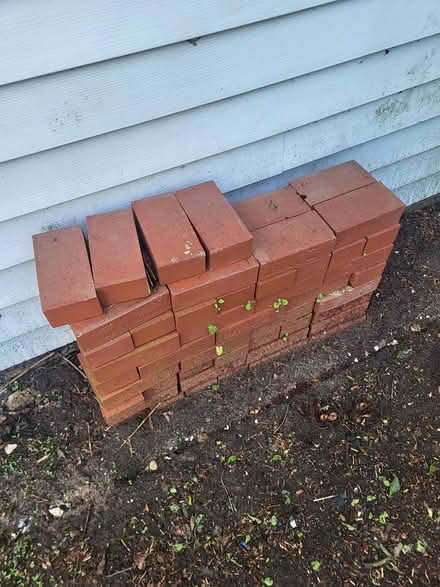 Photo of free bricks (West end of Crystal Lake) #2