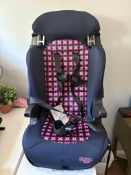 Photo of free Toddler Booster Car Seat (NE DC) #1