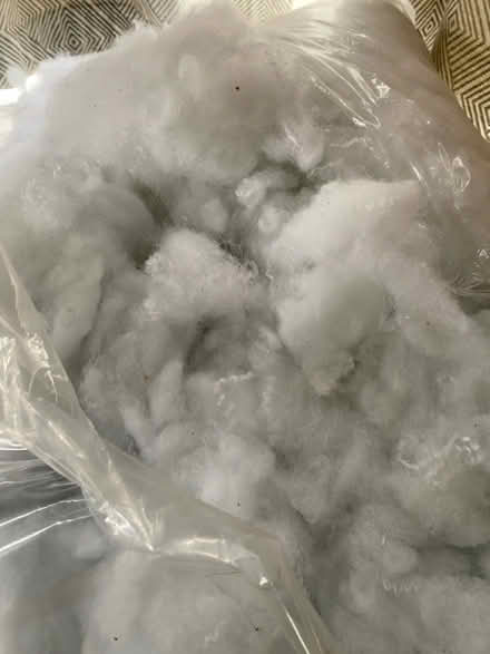 Photo of free Stuffing (New Malden KT3) #2