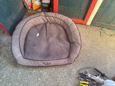 Photo of free Large dog bed (Oak Park) #1