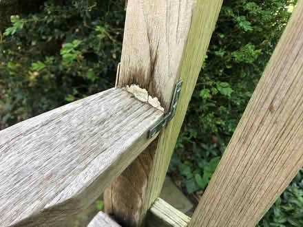 Photo of free teak garden bench (lawrenceville) #2