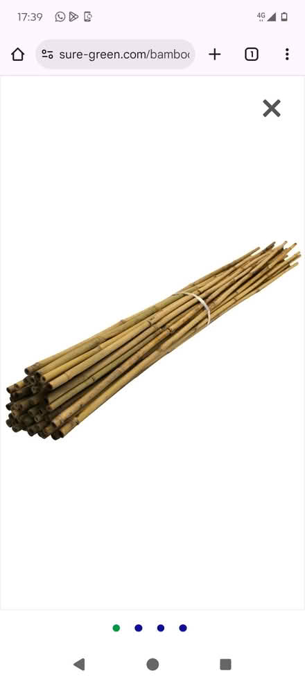 Photo of Garden canes (BT4) #1