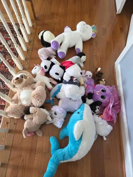 Photo of free Stuffies - like new (Olney) #3
