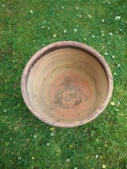Photo of free Large ceramic pot (Wrenbury CW5) #2