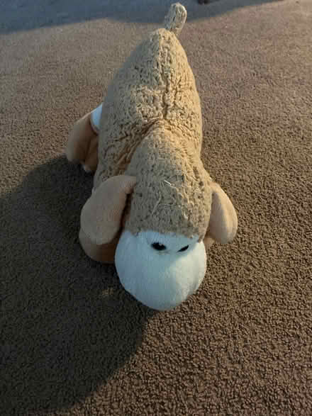 Photo of free Stuffed toy (Annapolis Overlook) #1