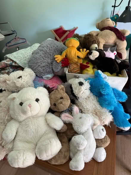 Photo of free Stuffed animals (95070) #2