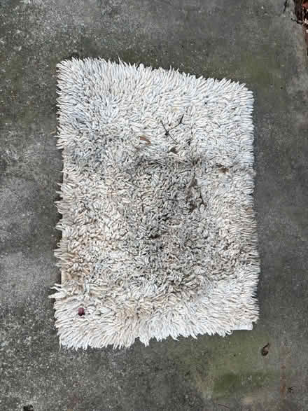 Photo of free Shag floor mat carpet (Mitty High area) #1