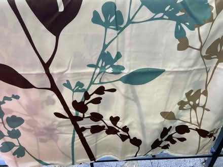 Photo of free Shower curtain and hooks (Catonsville) #1