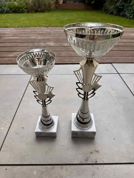 Photo of free Pair of trophies (St Andrew's BS6) #1