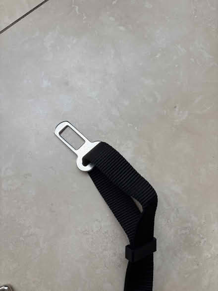 Photo of free Dog car seat adapter (Southfields SW19) #2