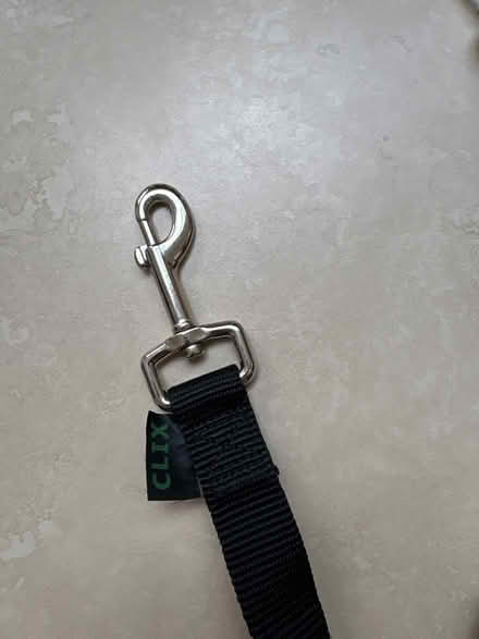 Photo of free Dog car seat adapter (Southfields SW19) #3