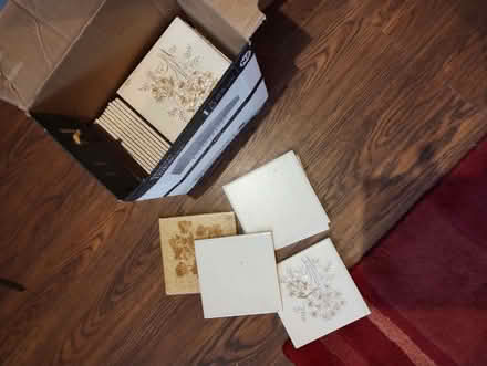 Photo of free Ceramic tiles (Edginswell TQ2) #1
