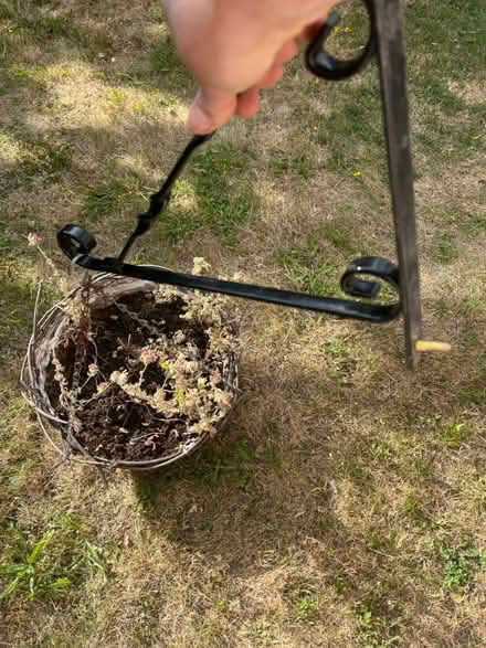 Photo of free Hanging Basket & Metal Wall Bracket (IG6) #1