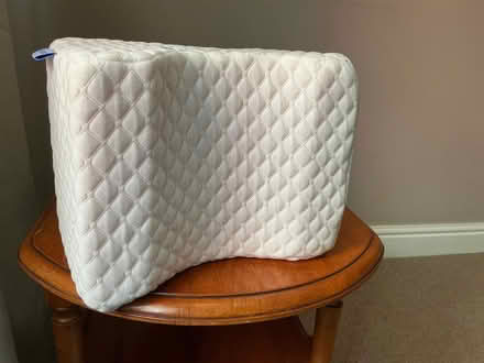 Photo of free Assorted foam wedges/ supports (Layer-de-la-Haye CO2) #1