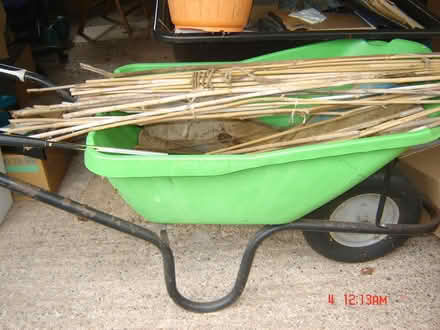 Photo of free Canes (BA2) #2
