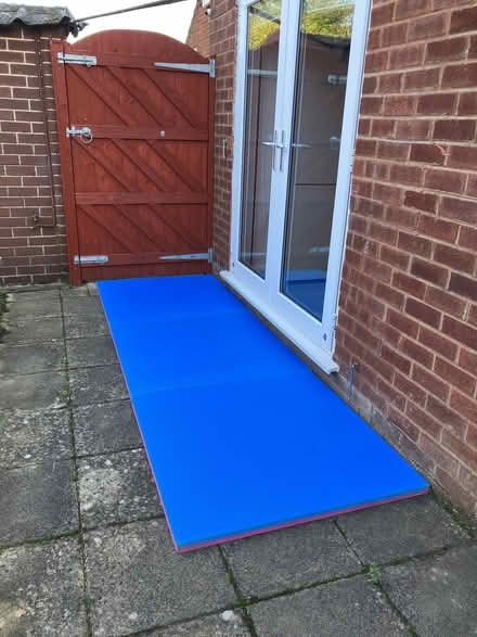Photo of free 3 x Cannons UK Ltd Red & blue 40mm thick Tatami jigsaw mats (Aston CH5) #1