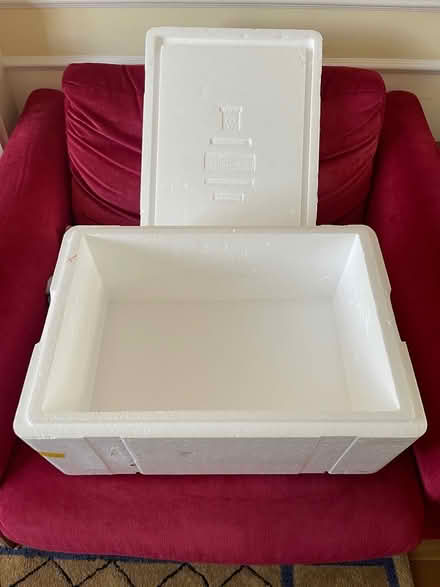 Photo of free Large polystyrene insulated box 59x40x30cm (Sanderstead CR2) #2