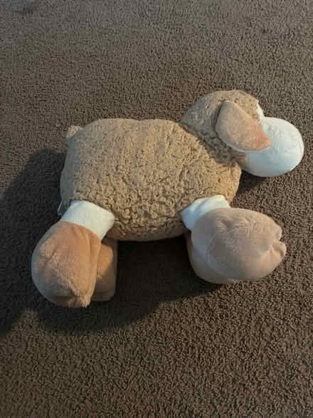Photo of free Stuffed toy (Annapolis Overlook) #2