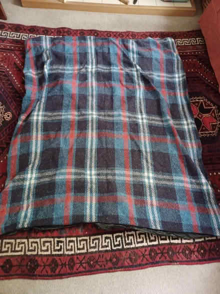 Photo of free picnic rug with two tears in backing - suitable for pets? (Oxford-Freegle CGA OX2) #1