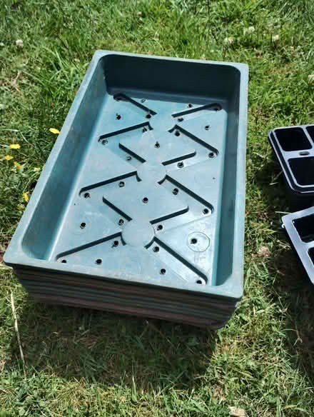 Photo of free Plant trays (Edginswell TQ2) #1
