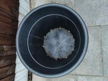 Photo of free Plant Container (Bare LA4) #2