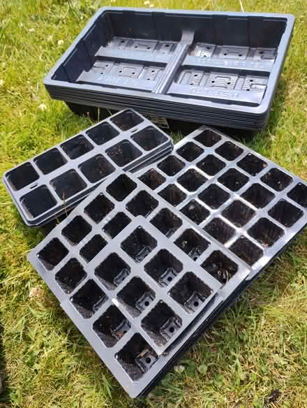 Photo of free Plant trays (Edginswell TQ2) #2