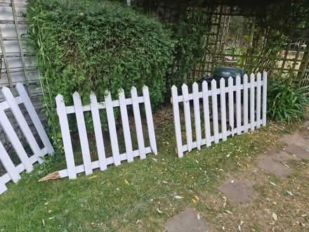 Photo of free Picket fencing (Great Baddow CM2) #2