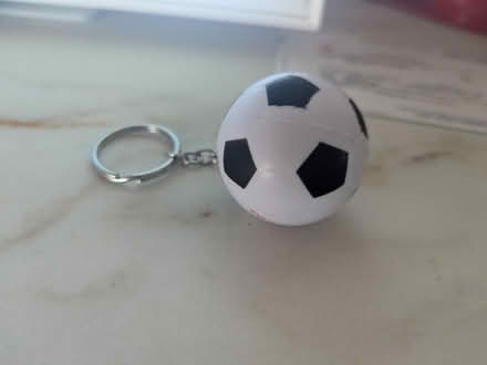Photo of free Small soccer ball keychain (near Central Park) #1