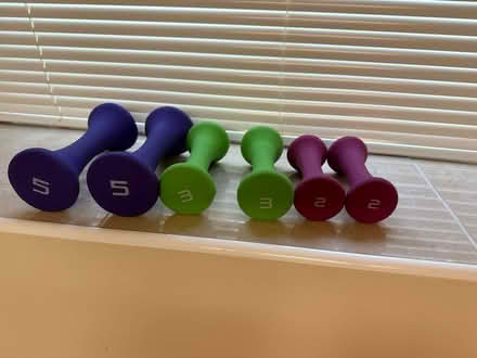 Photo of free Set of hand weights (Mount Vernon, NY) #1
