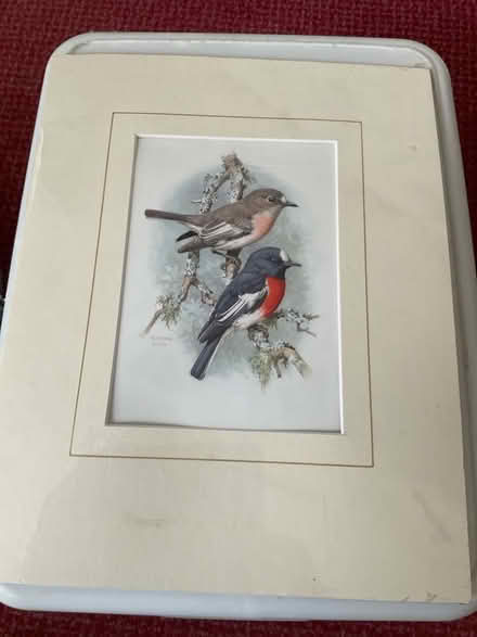 Photo of free Picture (Northcourt OX14) #1