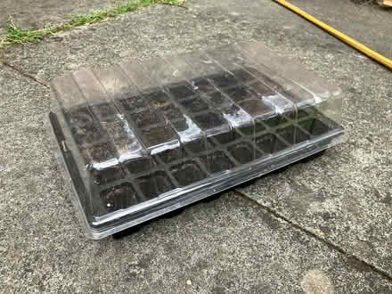 Photo of free Plastic propagator (Maidstone ME15) #1