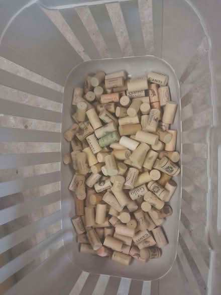Photo of free Plastic corks (Hassall Moss CW11) #1
