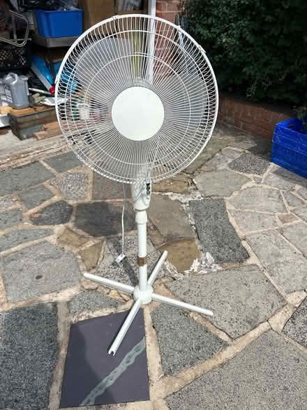 Photo of free Standing electric fan (Eltham SE9) #1